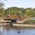 Sanctuary guests walking on the Thomas Bridge at the Bird Sanctuary
