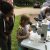 Postdoc Tatiana Severin helps Lillian Haas look through a microscope