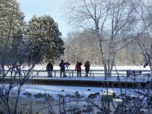 wintersanct