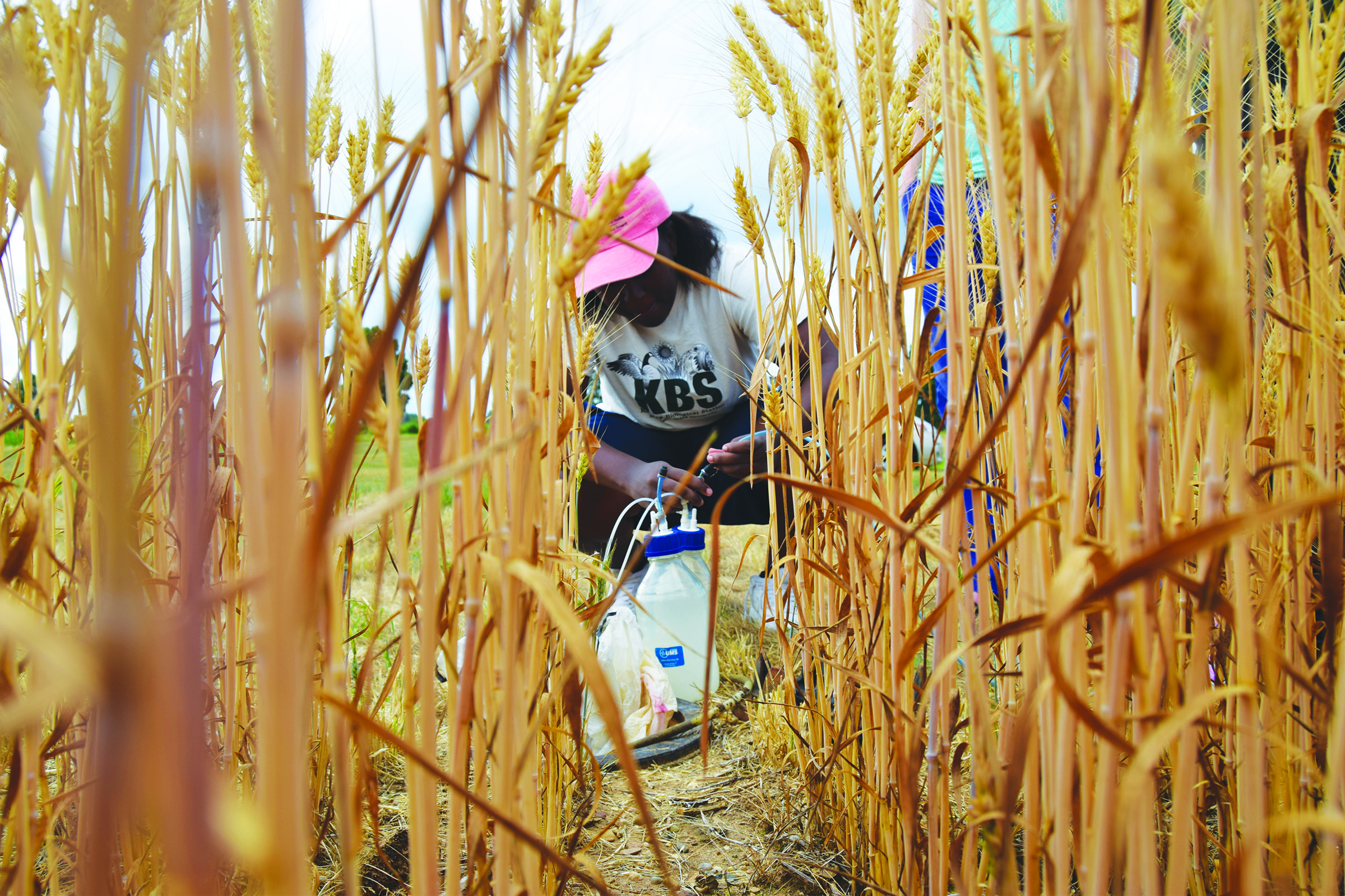 Sustainable Ag Field Day for 4H & Informal Educators