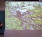 Graduate students have the opportunity to present their research during KBS's seminar sessions.