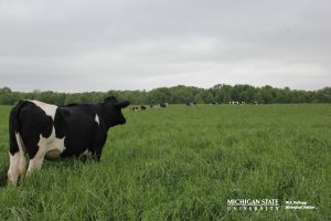 IMG_2713_WM_Misty Approved