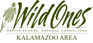 Kalamazoo Wild Ones Logo