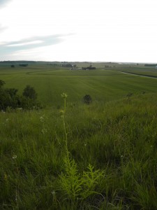 DSCN0054