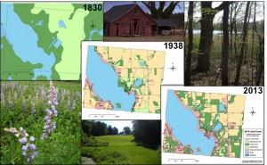 LandUseHistory