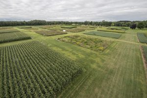 The Great Lakes Bioenergy Research Center (GLBRC) Fields