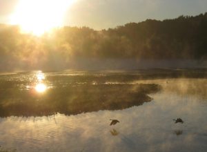 Sunrise at the Sanctuary