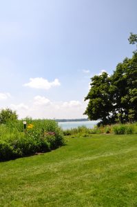 Lakeshore landscaping to protect water quality