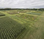 LTER fields at the Kellogg Biological Station