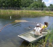 Pond Lab