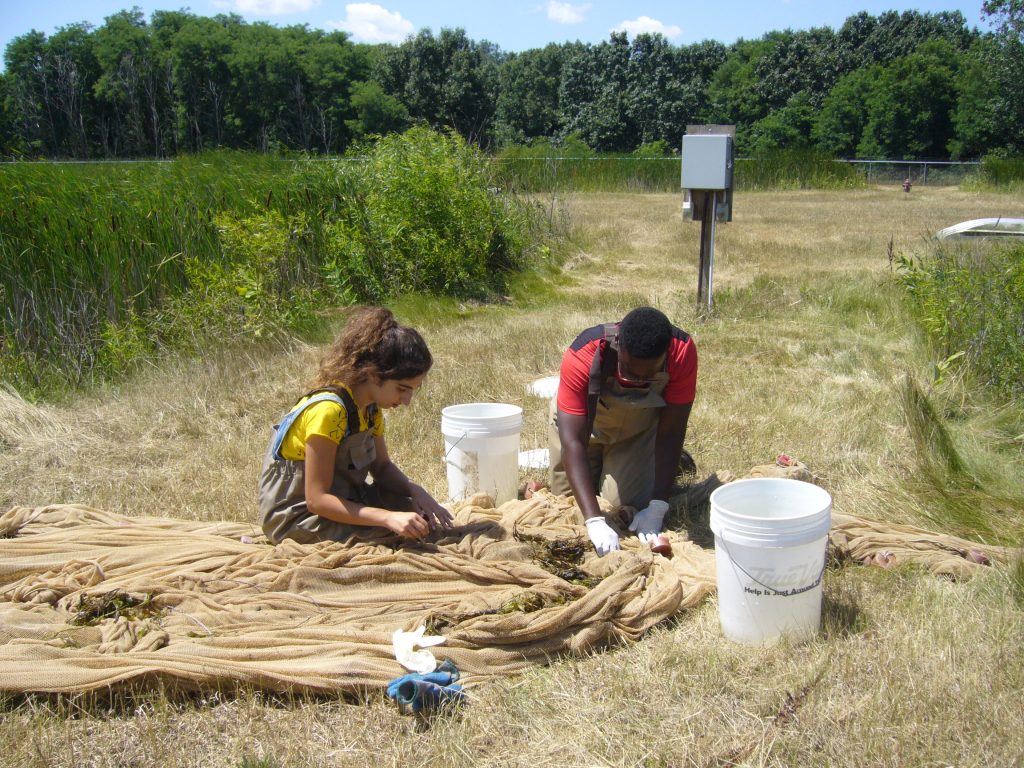 Kabalan and a fellow student pull specimens from their nets