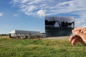 Historical then and now photo of Kellogg Farm