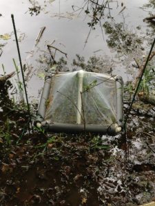 Aquatic Insect Traps