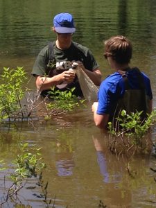 My lab mate (Jacob Wahl) and I collecting Daphnia in Lux Arbor Reserve. 