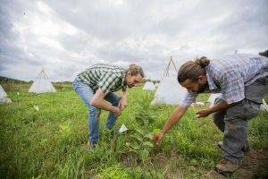 Wetzel & Luke Zehr examine a plant