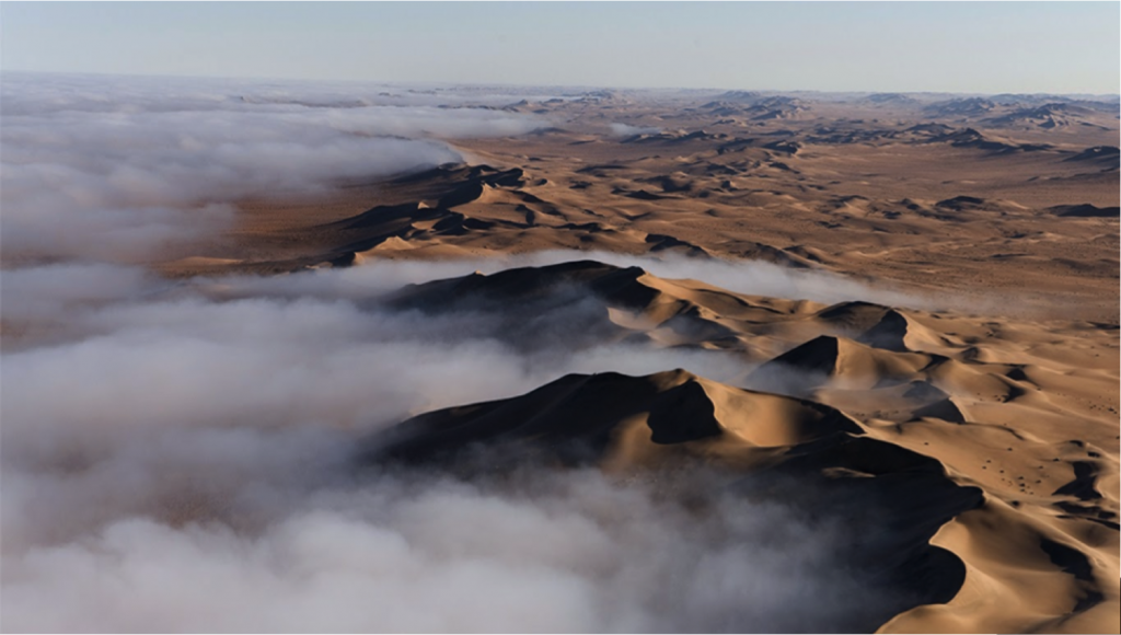 Fog in the Namib (photo credit Juliane Zeidler)