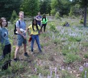 Summer program participants in the field at KBS