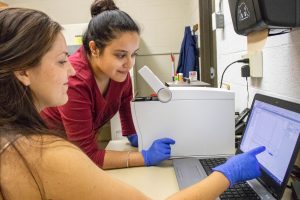 MSU researchers in the MEG Lab at KBS