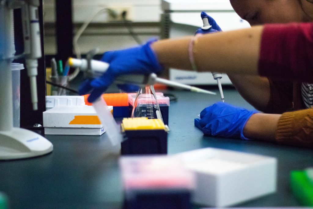 Lab work within the MEG Lab at KBS