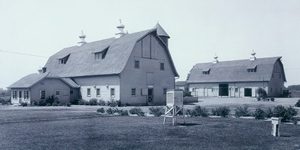 Historical photo of barns at Kellogg Farm