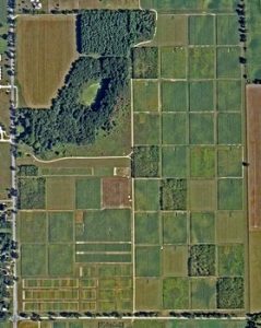 Photo of LTER cropping system sites
