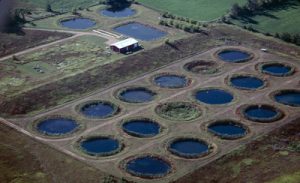 Historical photo of KBS's Pond Lab