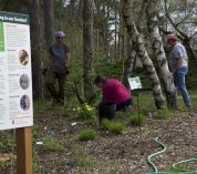 Garden volunteers working in the Sanctuary's pollinator garden