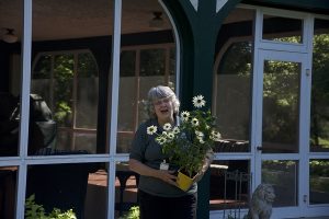 a garden volunteers tends to the formal gardens at the Kellogg Manor House