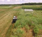 KBS REU Emily Lindback taking albedo measurements over native grasses, photo taken by drone.