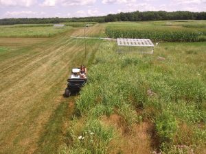 KBS REU Emily Lindback taking albedo measurements over native grasses, photo taken by drone.