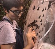 Student Hansen with hornworm moth
