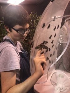 Student Hansen with hornworm moth