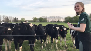 Intern Grace B. with cows in pasture