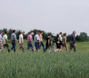 Participants in the field