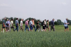 Participants in the field