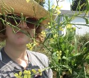Ava Garrison poses for a photo with an uprooted weedy radish plant.