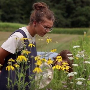 Lindsey Kemmerling peers into a prairie plot with a colleague.
