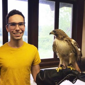 KBS avian care intern, wearing a yellow shirt, poses with a red-tailed hawk perched on his arm.