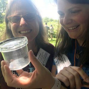 Renee Bayer and Kara Haas smile while observing a bee in a clear container.