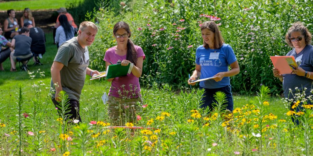 Educators observe a patch of wildflowers and take notes. Photo credit: Kurt Stepnitz