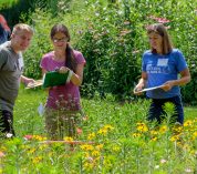 Educators observe a patch of wildflowers and take notes. Photo credit: Kurt Stepnitz
