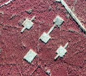 Aerial satellite image of habitat corridor plots.