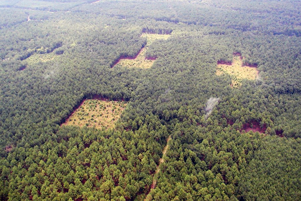 Aerial photo of habitat corridor plots.