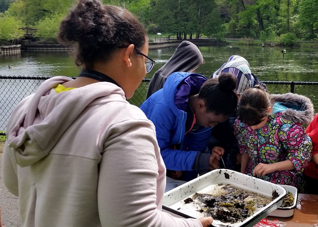 Karina Cortijo-Robles helps high school students find macroinvertebrates in Wintergreen Lake.