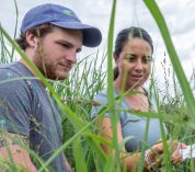 Colin McHugh, Caro Cordova and Nyduta Mbogo examine switchgrass in a research plot.
