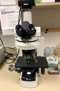 A microscope sits on a counter top in the KBS Litchman Lab.
