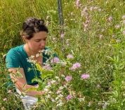 Meredith Zettlemoyer inspects a research plot of native plants.