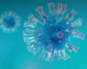 Close-up view of the coronavirus structure.