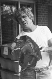 Black-and-white photo of J. Whitfield Gibbons holding a large snapping turtle.