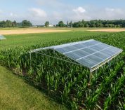 A rainout shelter, used to create drought conditions, stands in a research plot planted with corn.